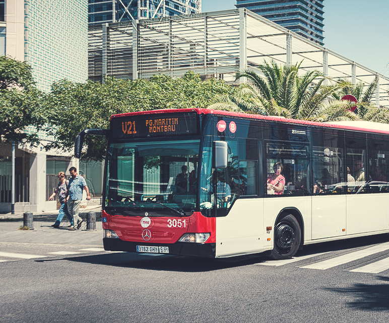 Fleet of buses