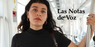 Las Notas de Voz