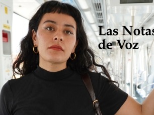 Las Notas de Voz